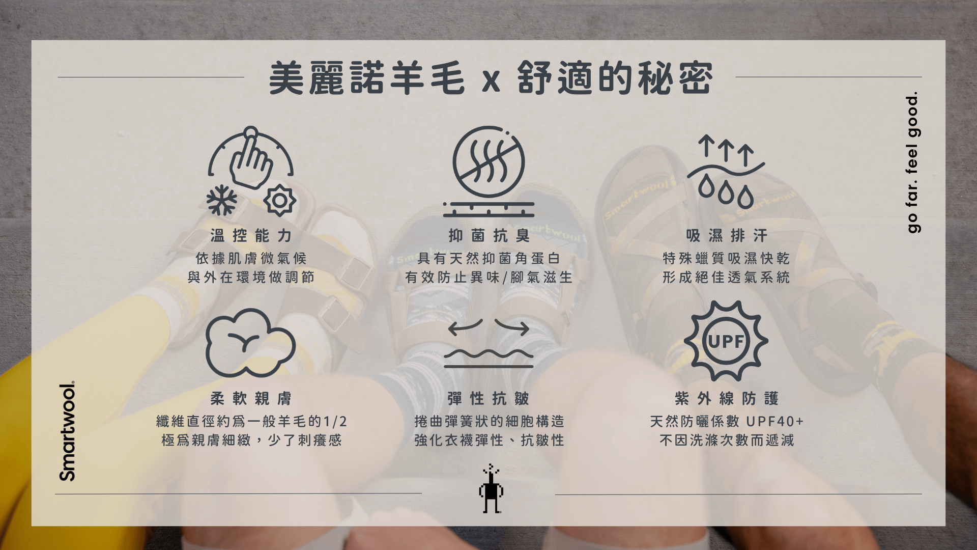 美麗諾羊毛2