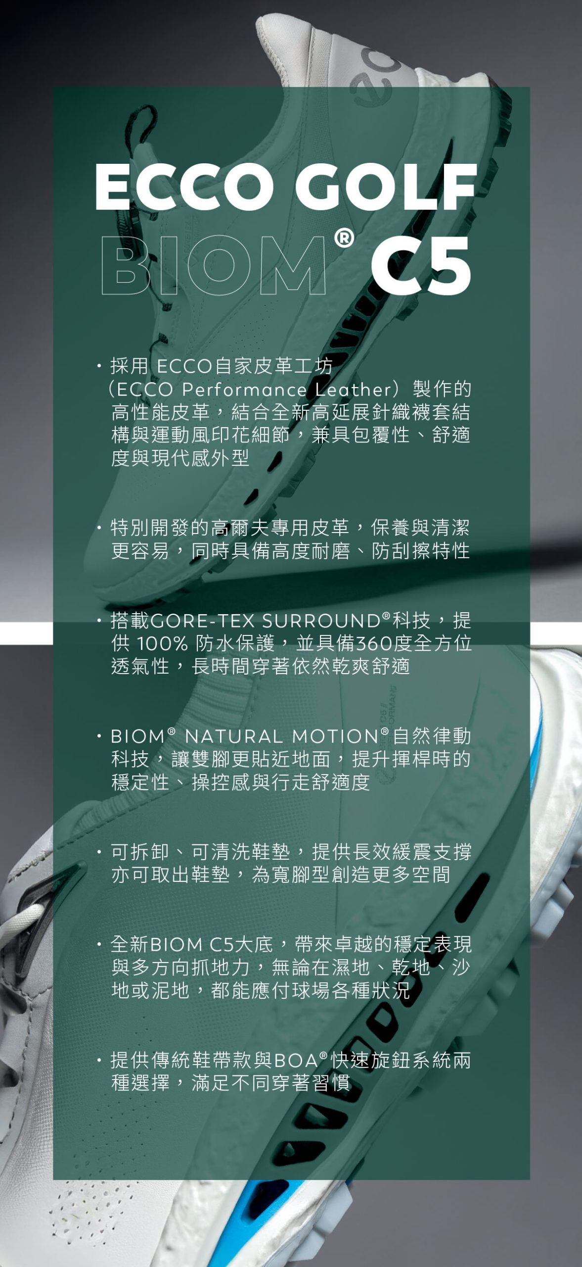 678体育官方网站图片