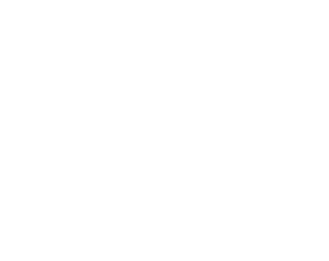 DeMarini